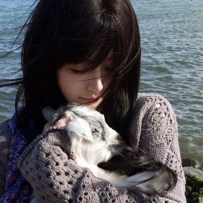 没有小鸟的天空